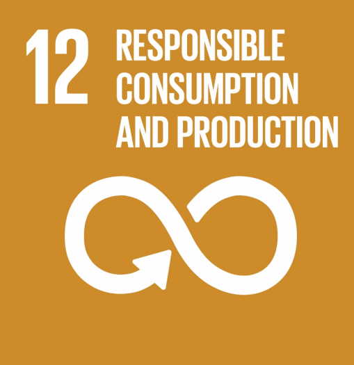 SDG 12: Continually improve the sustainability of our existing assets